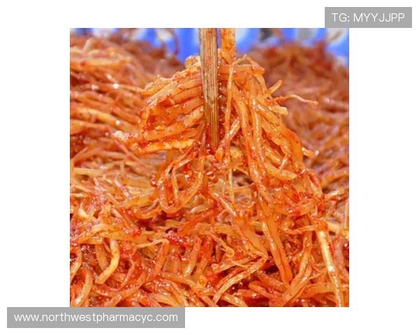 ag贵宾厅游戏账号管理与安全防护的最佳实践方案