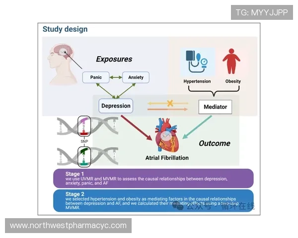 现代老虎机系统的算法原理与随机性保障机制