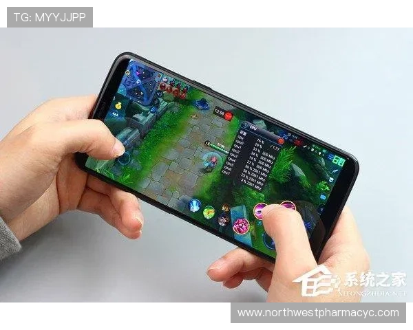 PG电子游戏辅助教程详解让新手玩家也能快速上手实现游戏中的完美表现