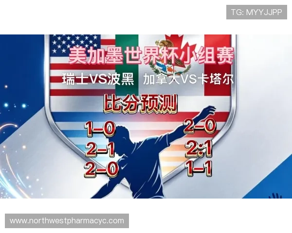 世界杯瑞士VS加拿大比赛时间及赛程表PDF下载，全面了解比赛安排与精彩看点
